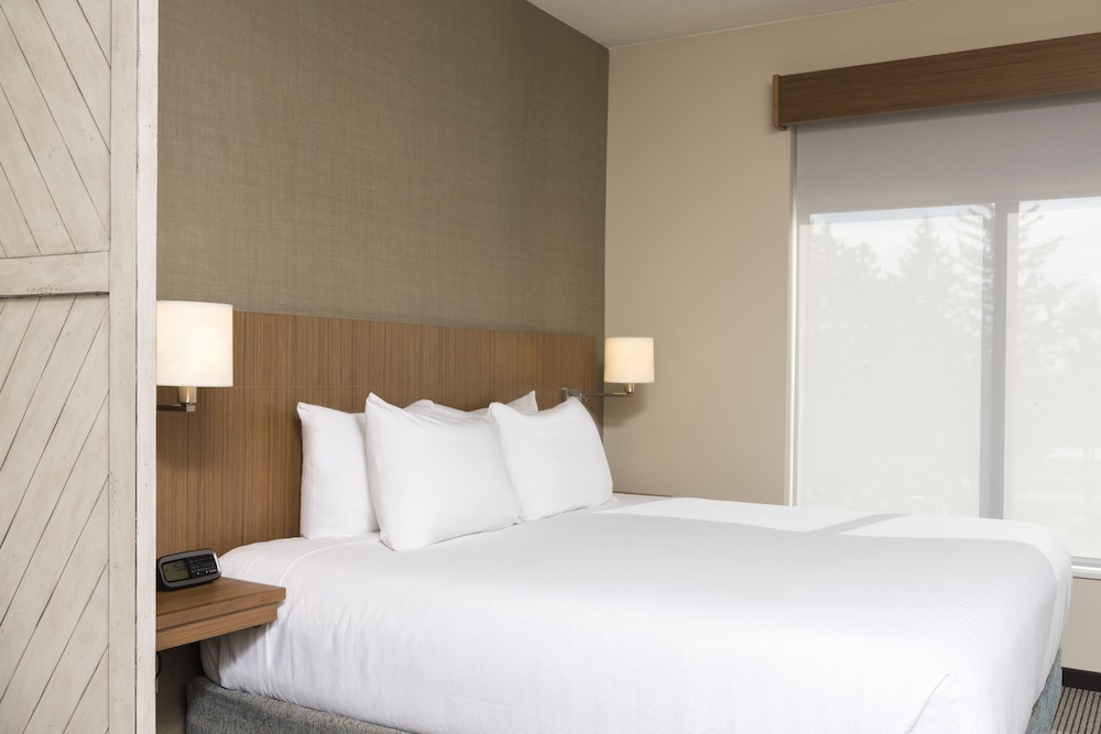 Room, 1 King Bed with Sofa bed, Accessible (With Shower) photo 3