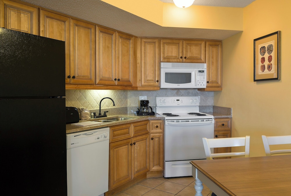 North Tower Ocean View One Bedroom Condo - Photo 3