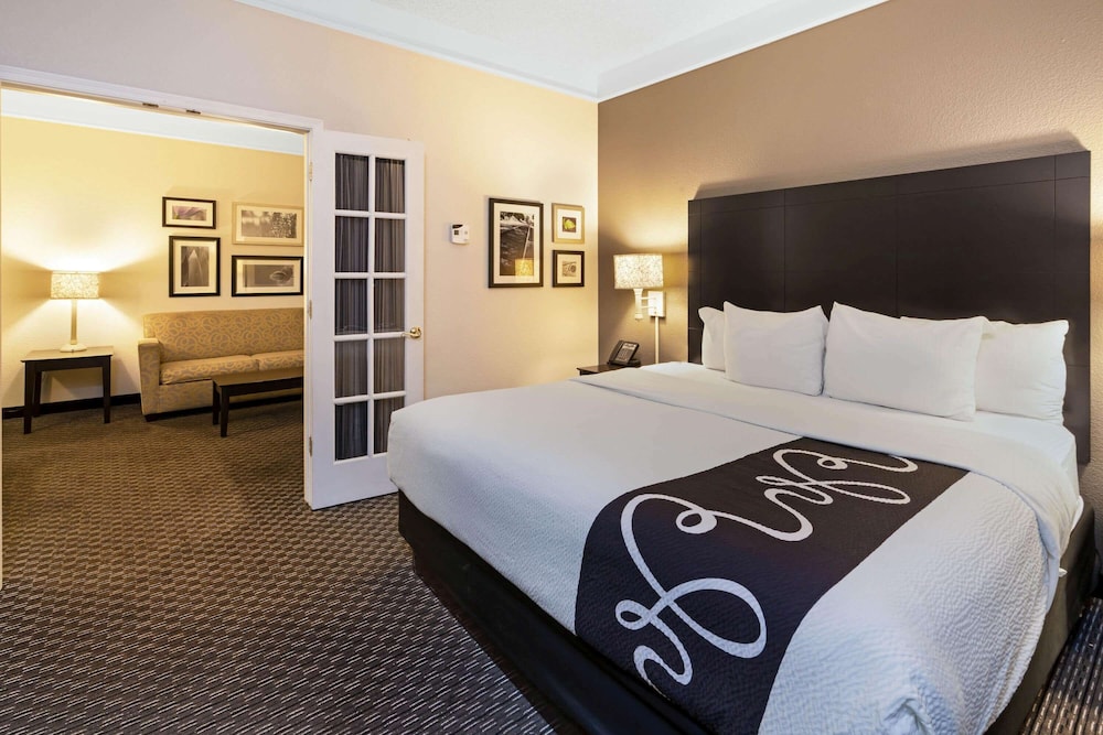 Suite, 1 Bedroom, Non Smoking, Pool View (1King Bed) - Photo 5