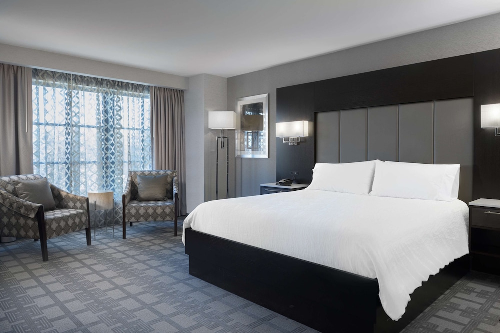 Room, 1 King Bed (Mini Fridge/Microwave)