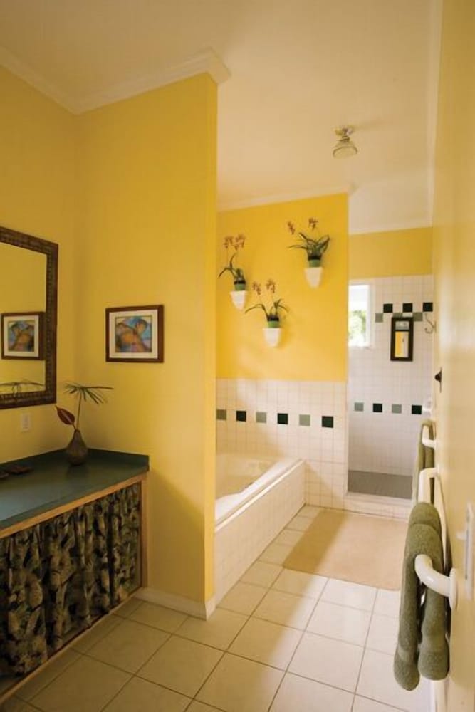 Standard Suite, 1 King Bed photo 3