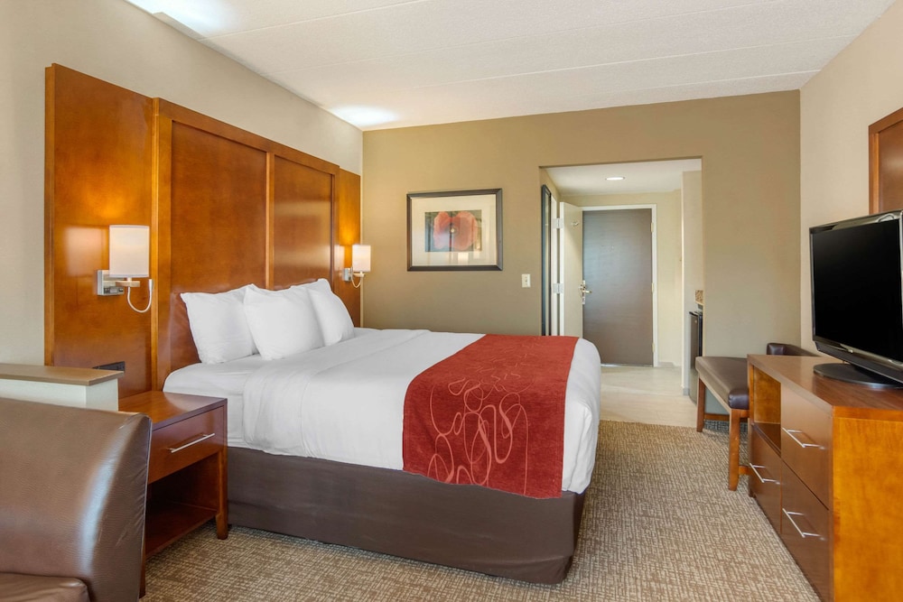 Studio Suite, 1 King Bed with Sofa bed, Accessible (Mobility and Hearing Accessible) - Photo 2