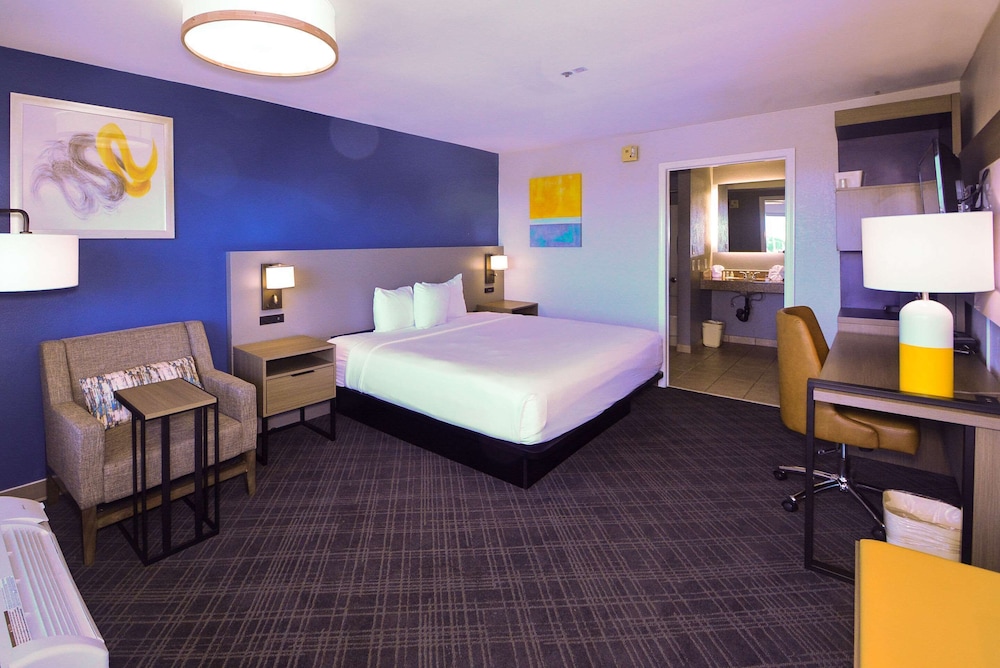 Standard Room, 1 King Bed, Accessible Roll-In Shower, Non Smoking - Photo 3