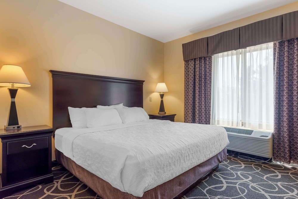 Standard Room, 1 King Bed with Sofa bed, Accessible, Non Smoking (Bathtub) - Photo 1