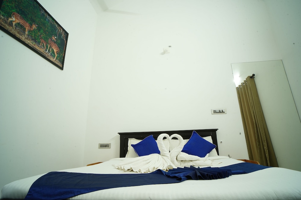 Deluxe Room photo 3