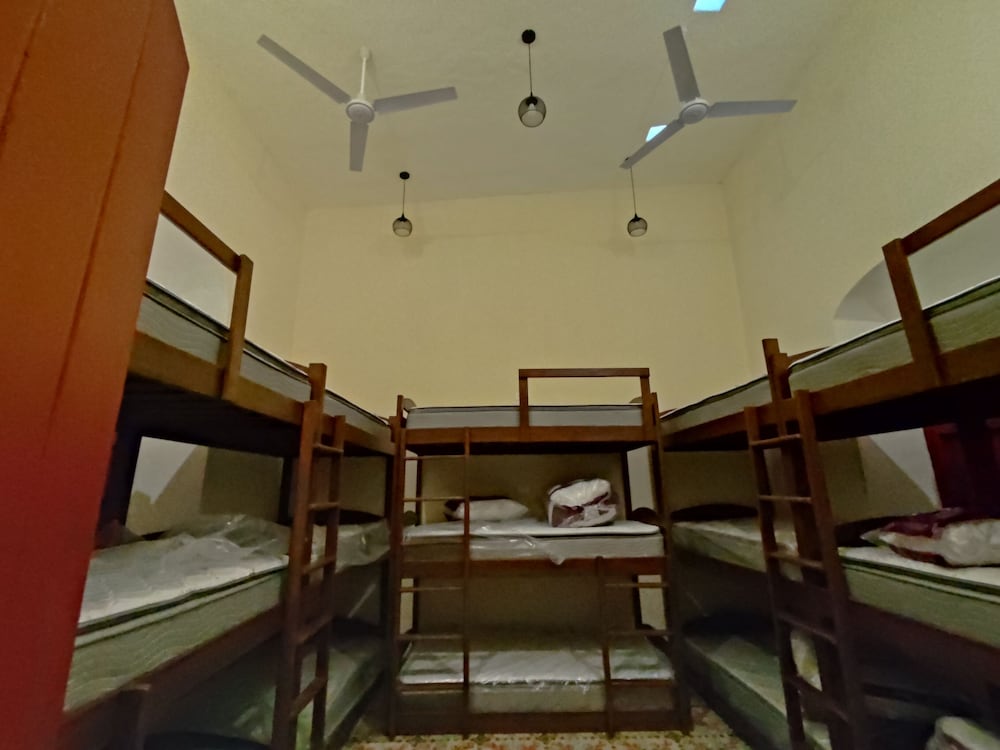 Standard Shared Dormitory photo 1
