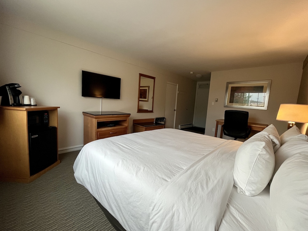 Deluxe Single Room, 1 King Bed photo 1