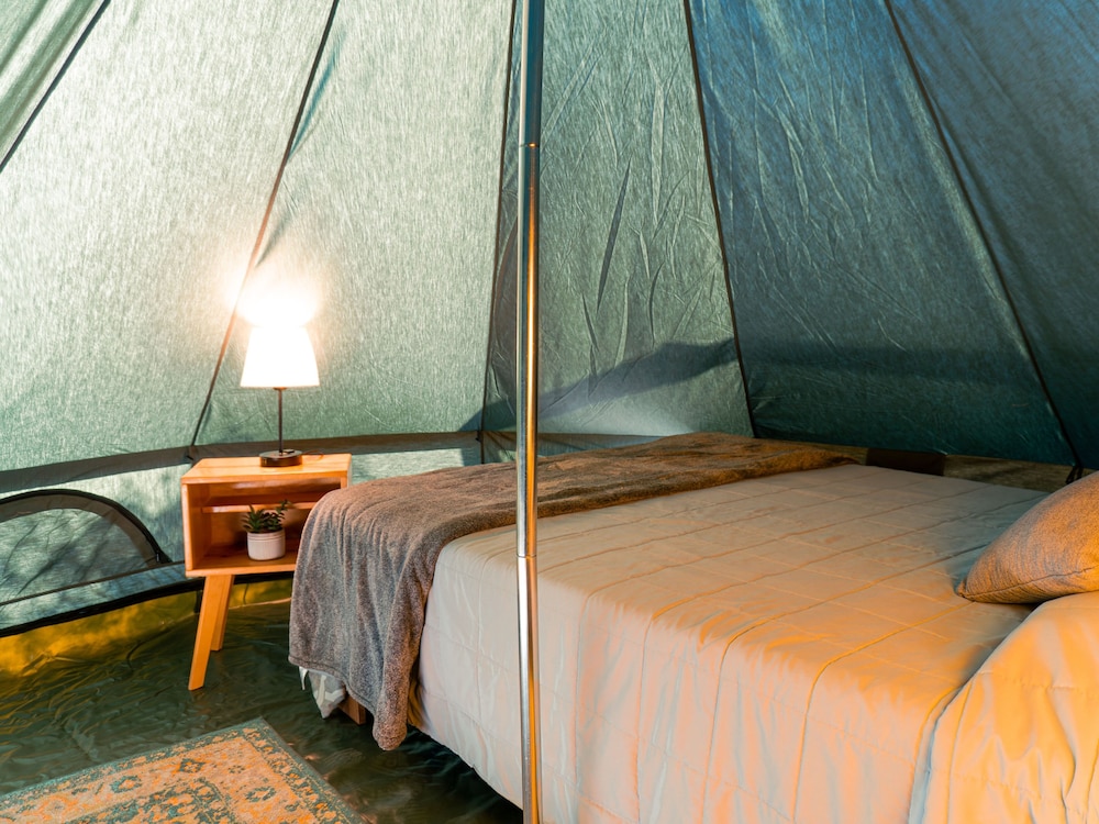 Classic Room - Photo 3