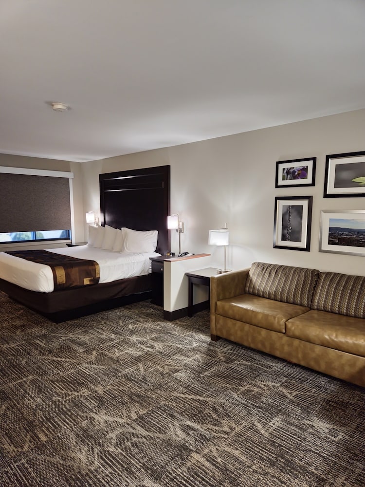 Deluxe Room, 1 King Bed (Executive King) - Photo 4