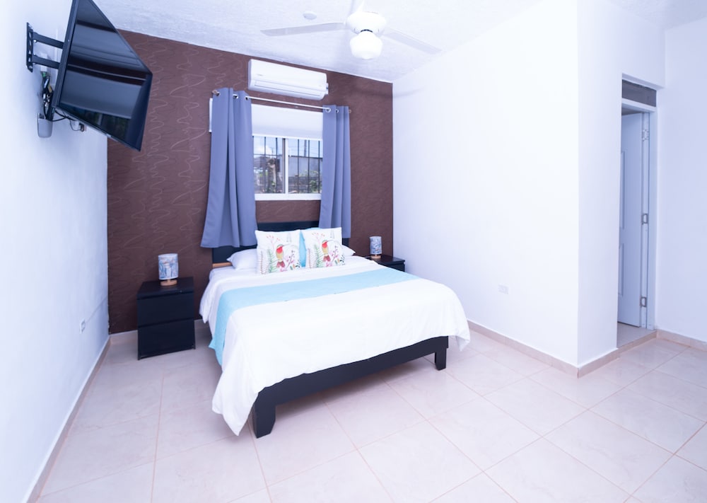 Apartment, 1 King Bed with Sofa bed