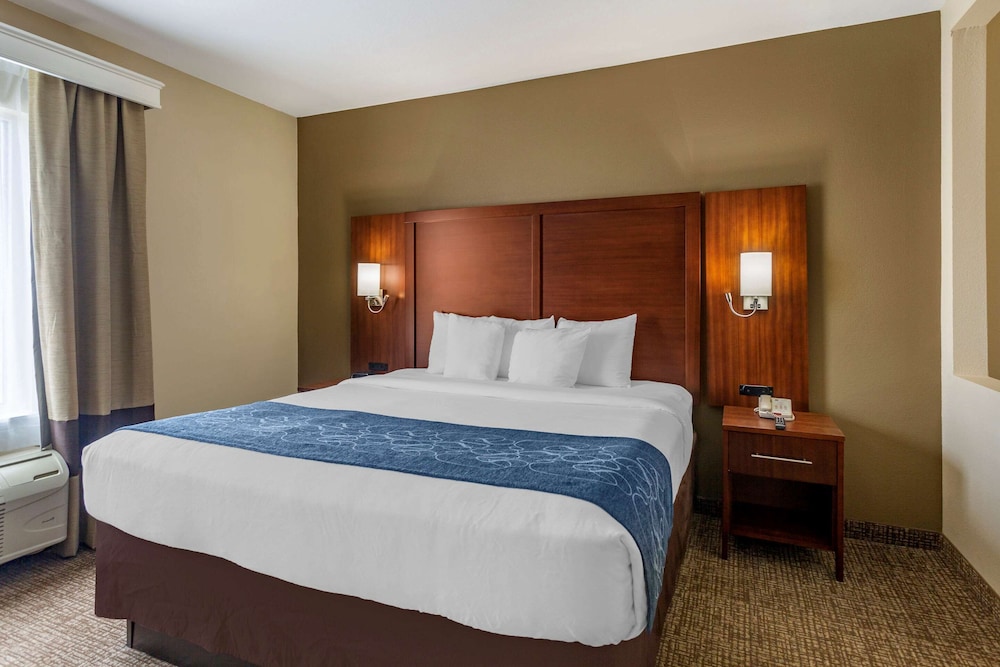 Mobility Accessible, 1 King Bed and Sofa Bed photo 1