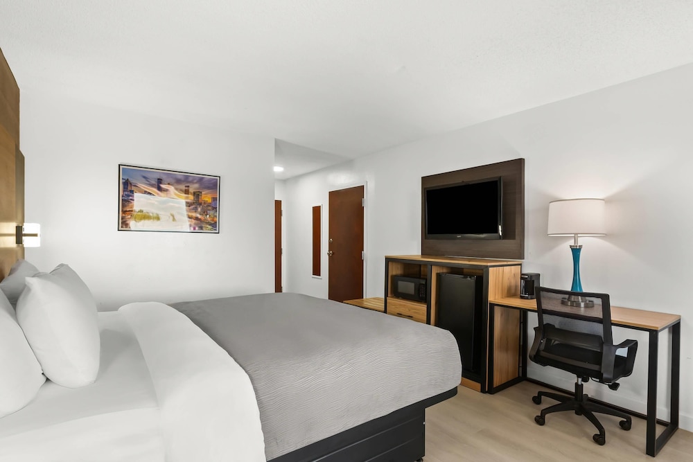 Room, 1 King Bed, Accessible, Non Smoking - Photo 4