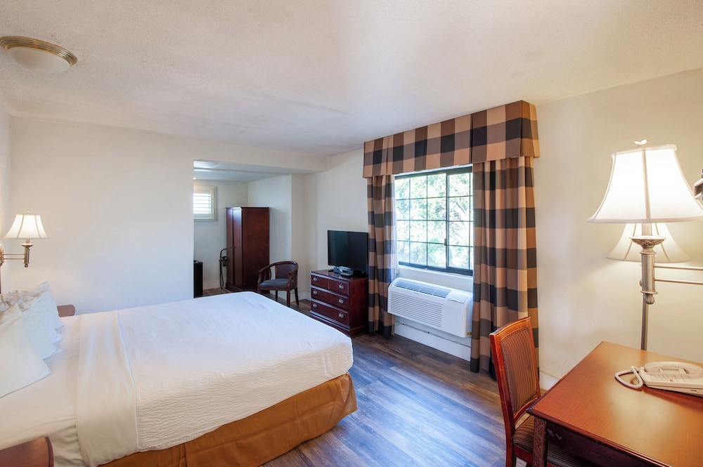 Deluxe Room, 1 King Bed, Microwave photo 2