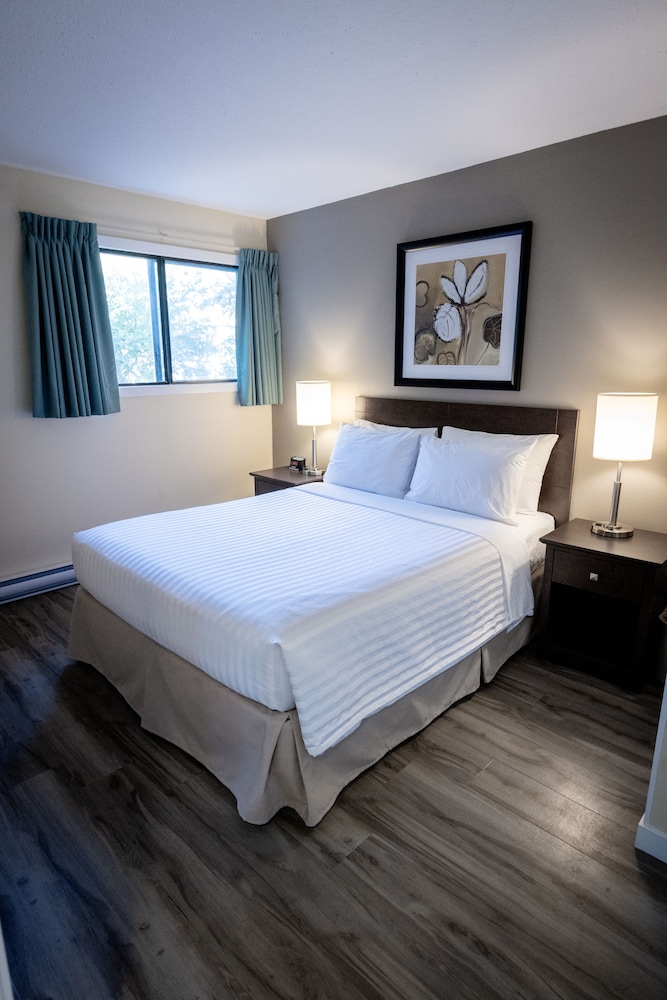 Suite, 1 Bedroom, Kitchen - Photo 2