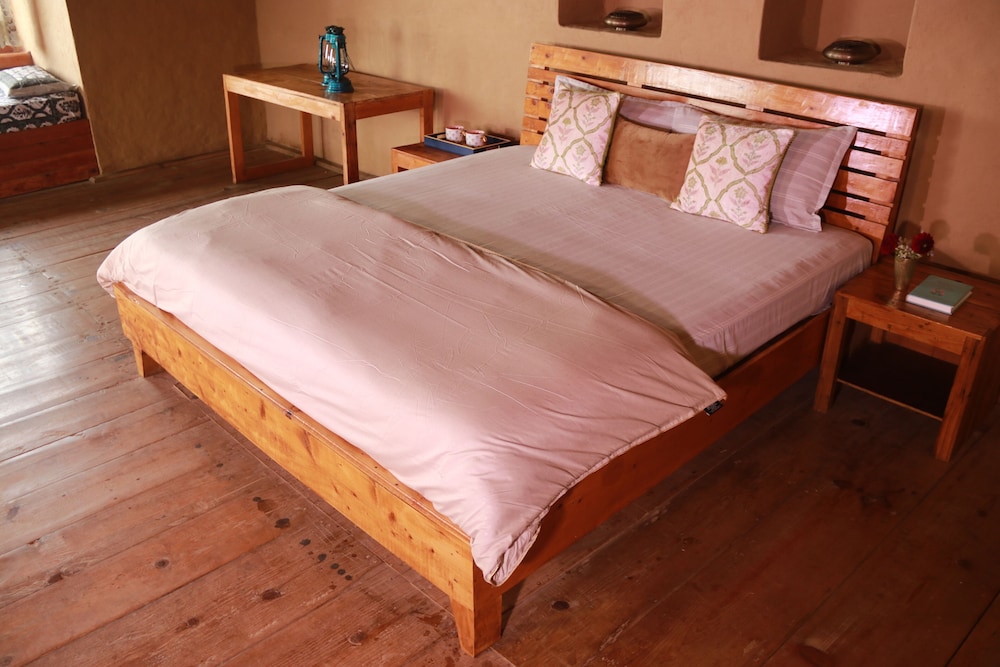 Standard Shared Dormitory photo 3