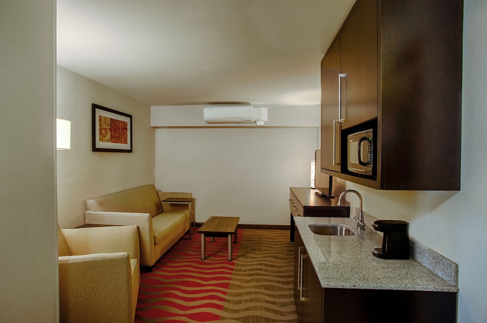 Suite, 1 Bedroom photo 3
