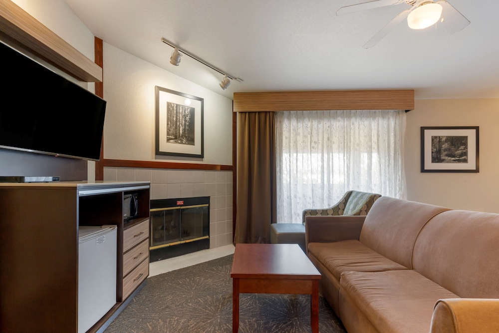 Executive Room, 1 King Bed, Non Smoking, Jetted Tub (With Sofabed) - Photo 1