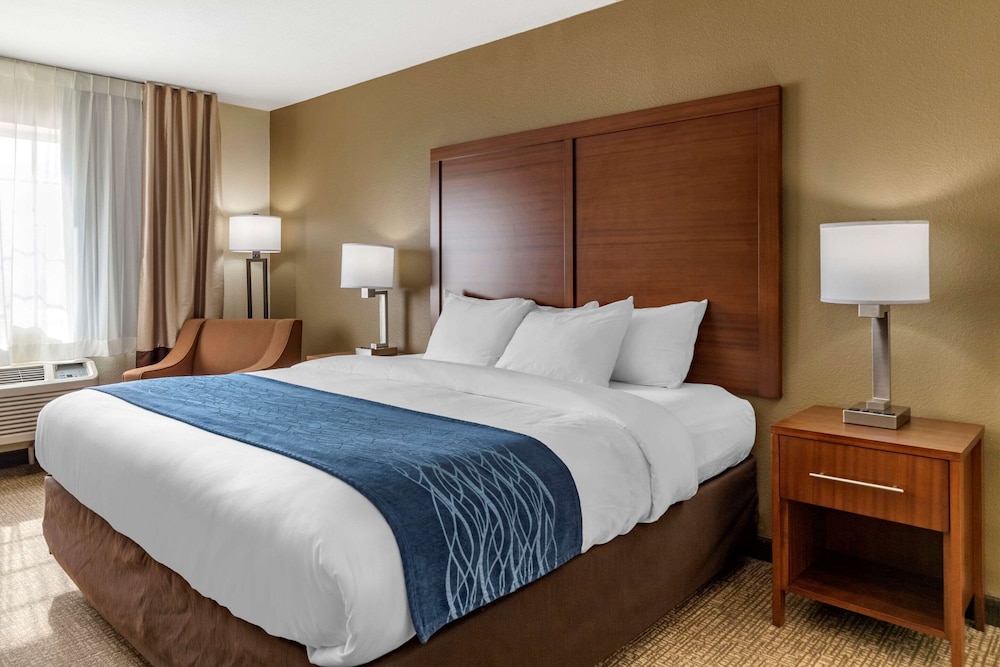 Room, 1 King Bed, Non Smoking (Efficiency, Pet Friendly) - Photo 2