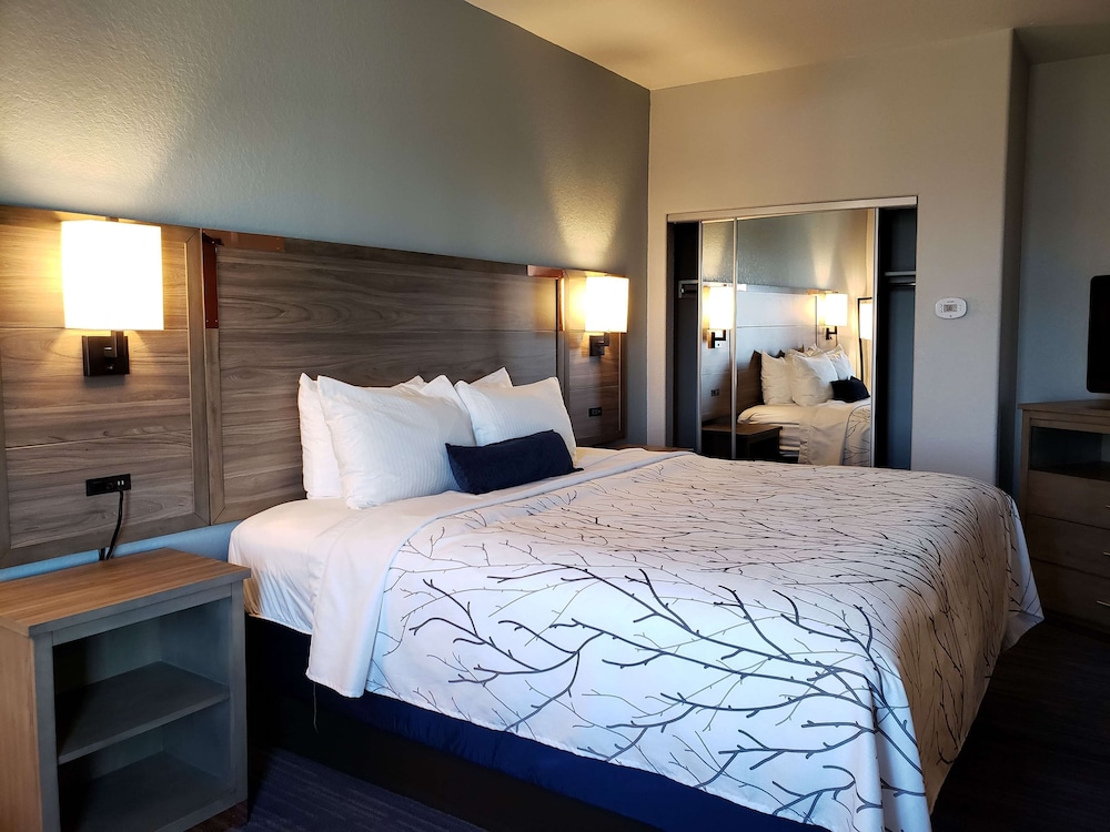 Suite, 1 King Bed, Accessible, Kitchen (with Sofabed, Full Kitchen)