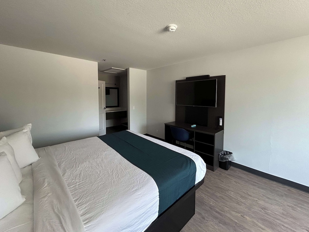 Deluxe Room, 1 King Bed, Non Smoking photo 1