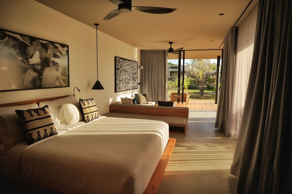 Luxury Studio Suite photo 1