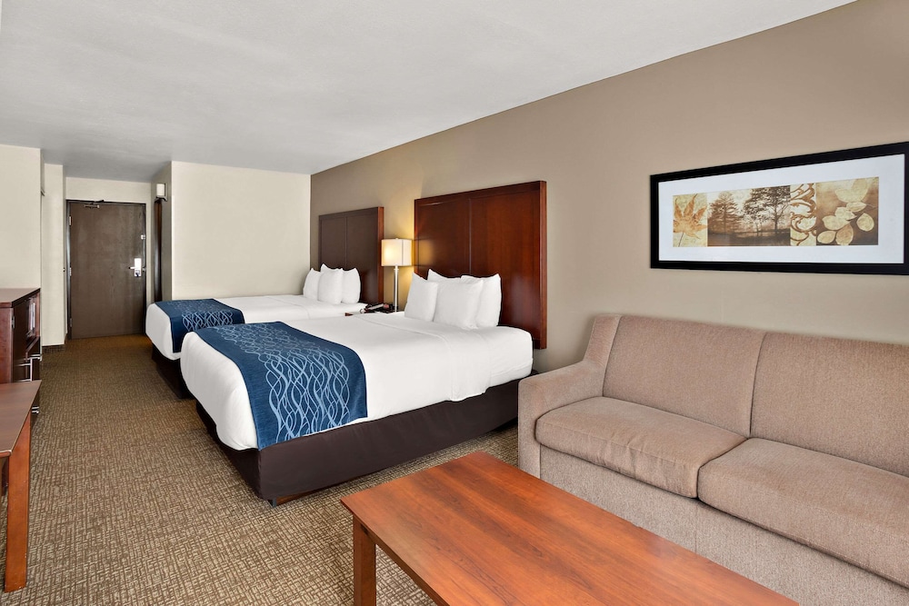 Suite, Multiple Beds - Photo 4