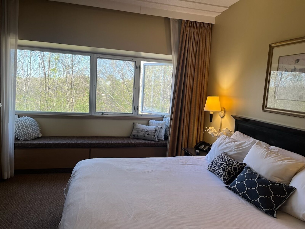 Luxury Suite, City View photo 1