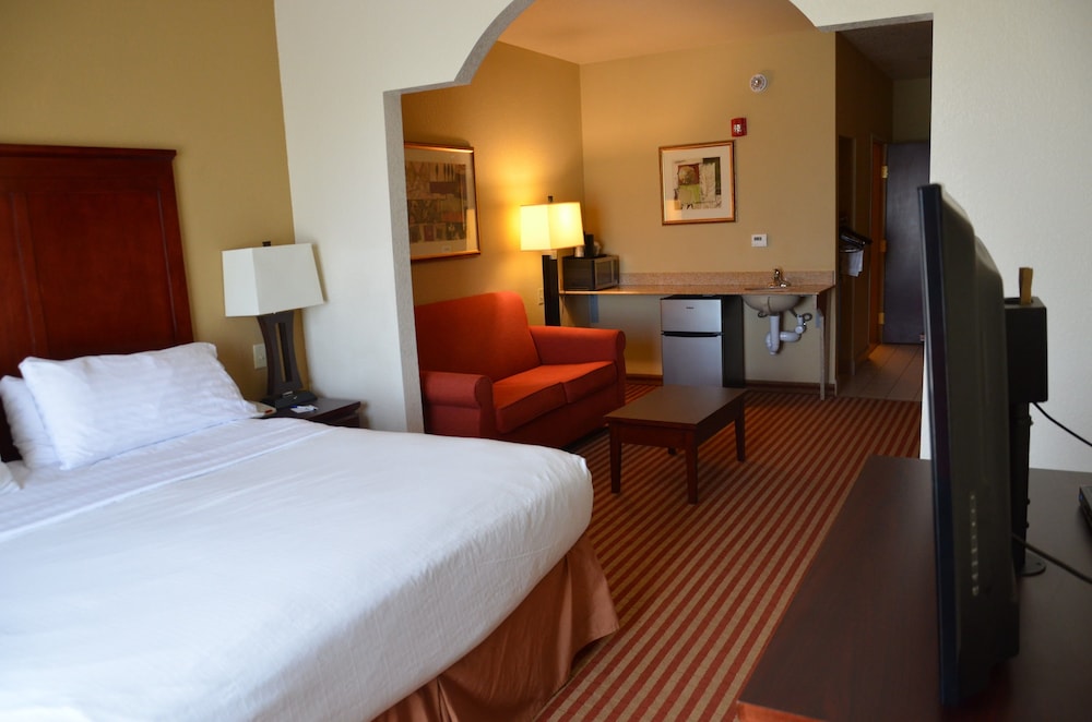 Suite, 1 King Bed - Photo 1