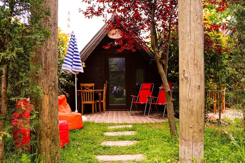 Standard Tree House