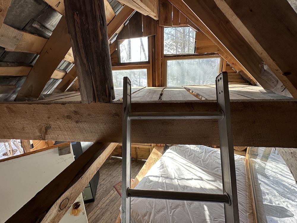 Basic Tree House photo 1