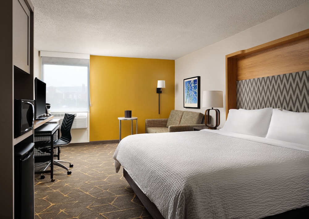 Suite, 1 King Bed with Sofa bed photo 1