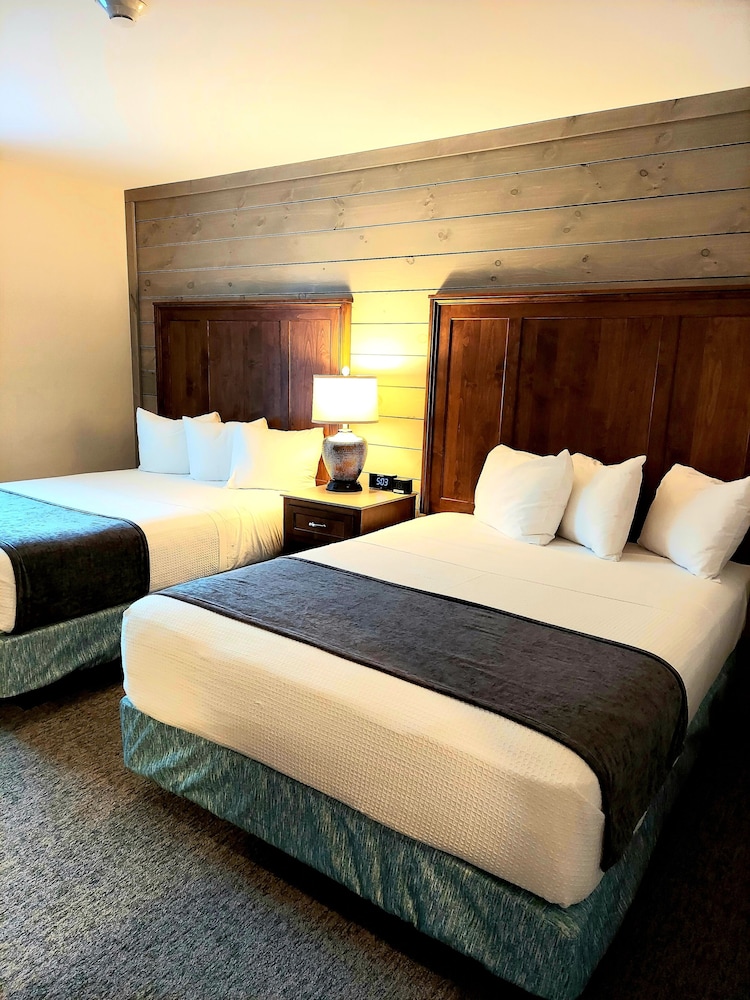 Comfort Room, 2 Queen Beds photo 3