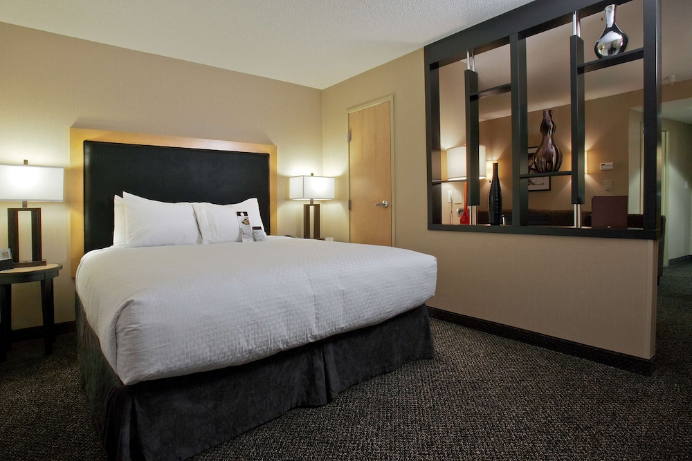 Studio Suite, 1 King Bed - Photo 2