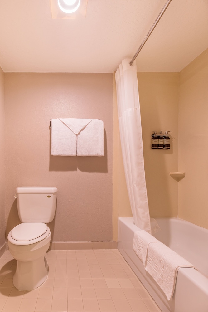 Room, 2 Double Beds, Mountain View - Photo 5