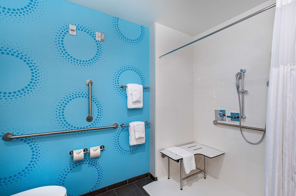 Room, 1 King Bed, Accessible (Roll-In Shower) - Photo 4