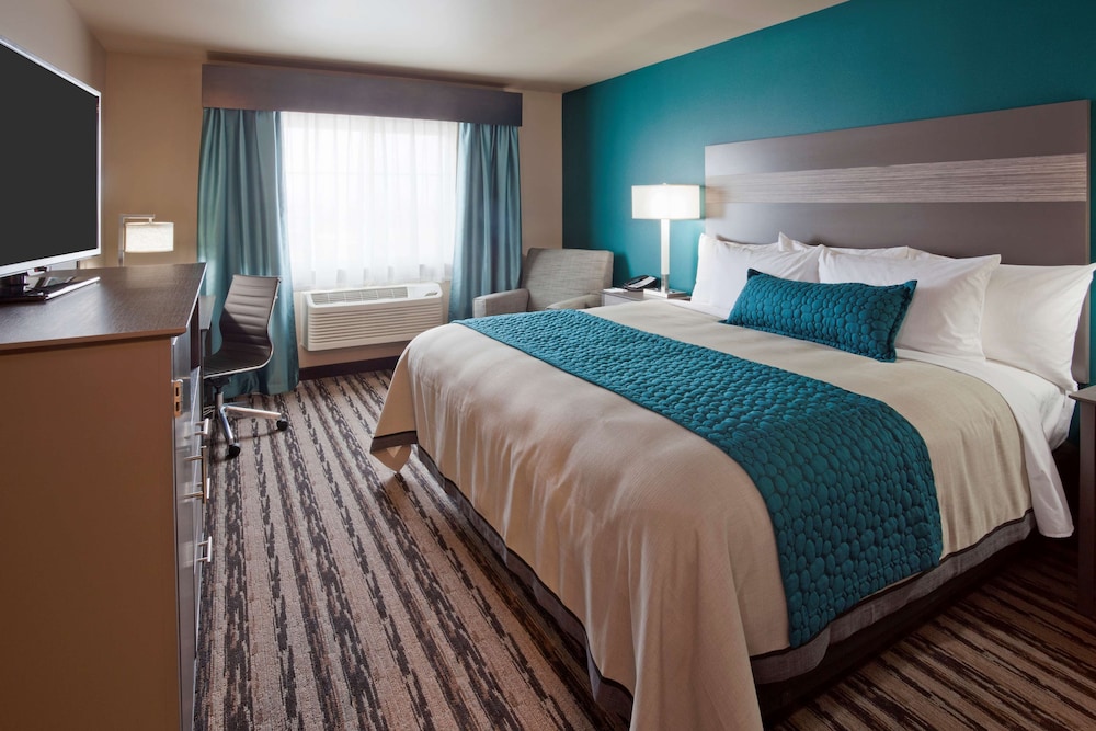 King Room photo 1