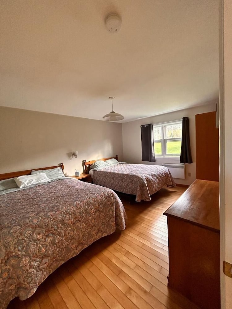 Suite, 1 Bedroom photo 2