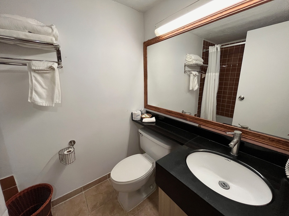 Comfort Double Room, 1 King Bed with Sofa bed photo 3