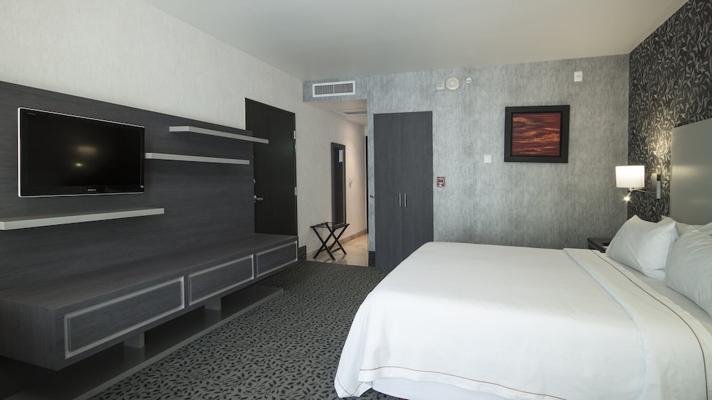 Standard Room, 1 King Bed, Accessible (Roll-In Shower) photo 2