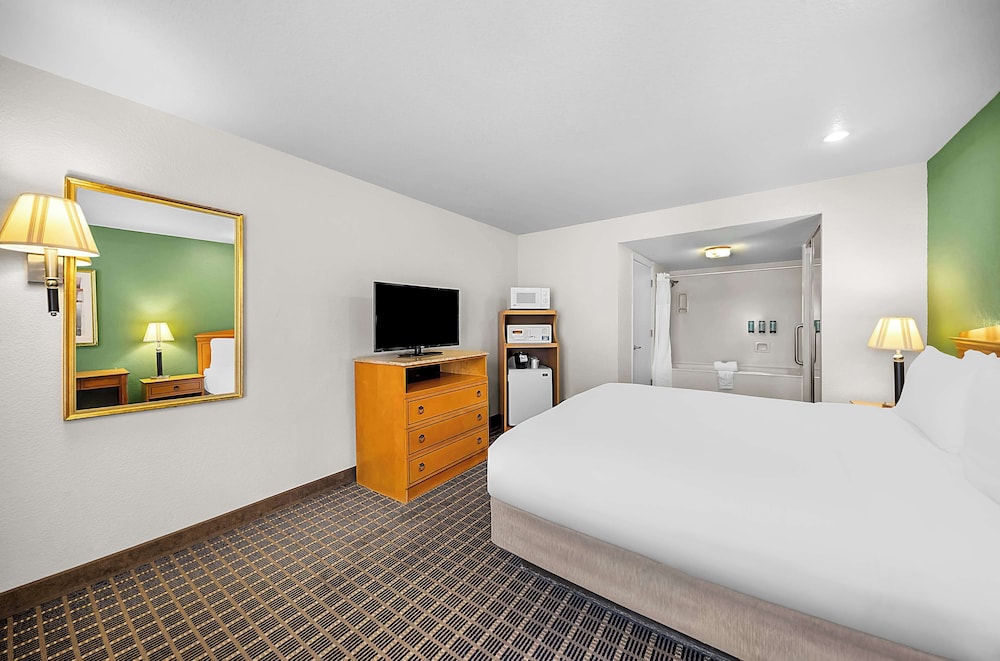 Standard Room, 1 King Bed, Non Smoking, Jetted Tub - Photo 2