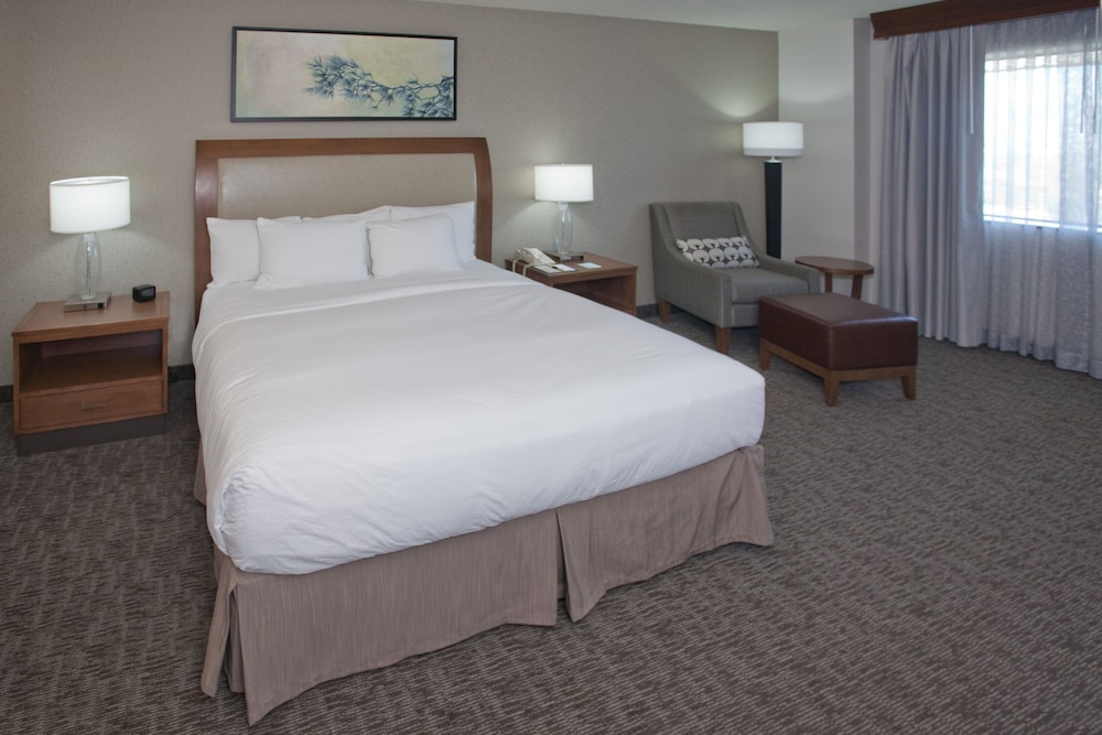 Standard Room, 1 King Bed - Photo 2