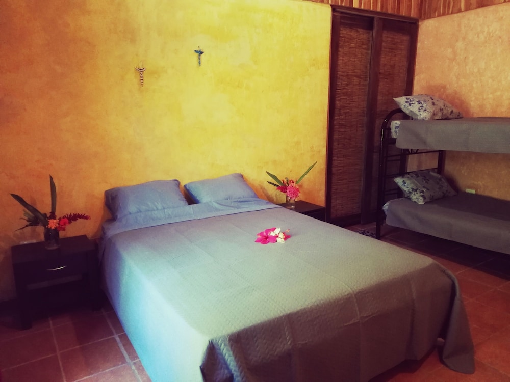 Traditional Room, Multiple Beds, Accessible, Garden View photo 3
