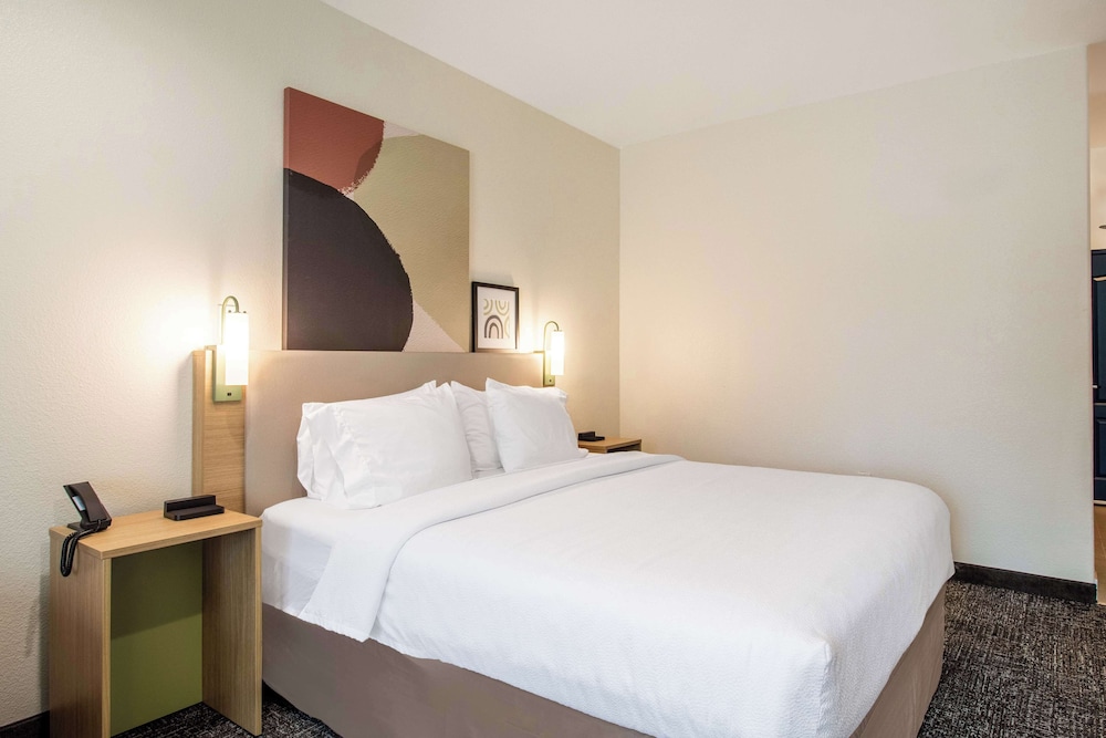 Suite, 1 King Bed, Accessible (Mobility & Hearing, Roll-in Shower) - Photo 4