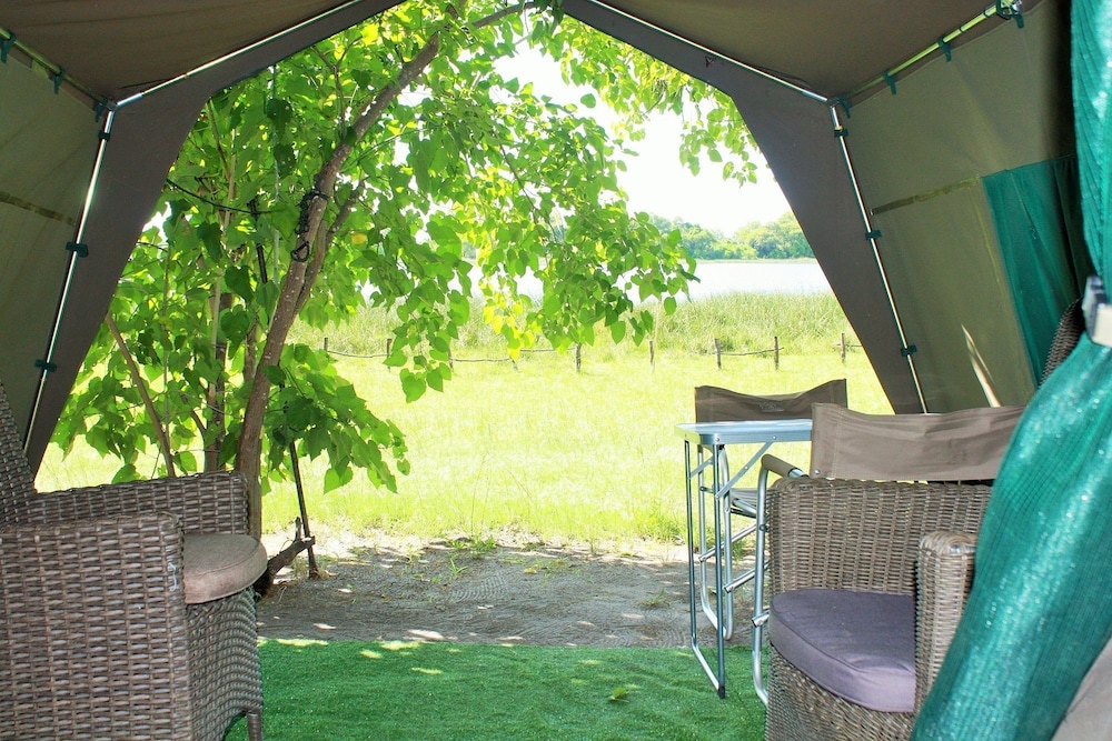Tent (Lion ) photo 3