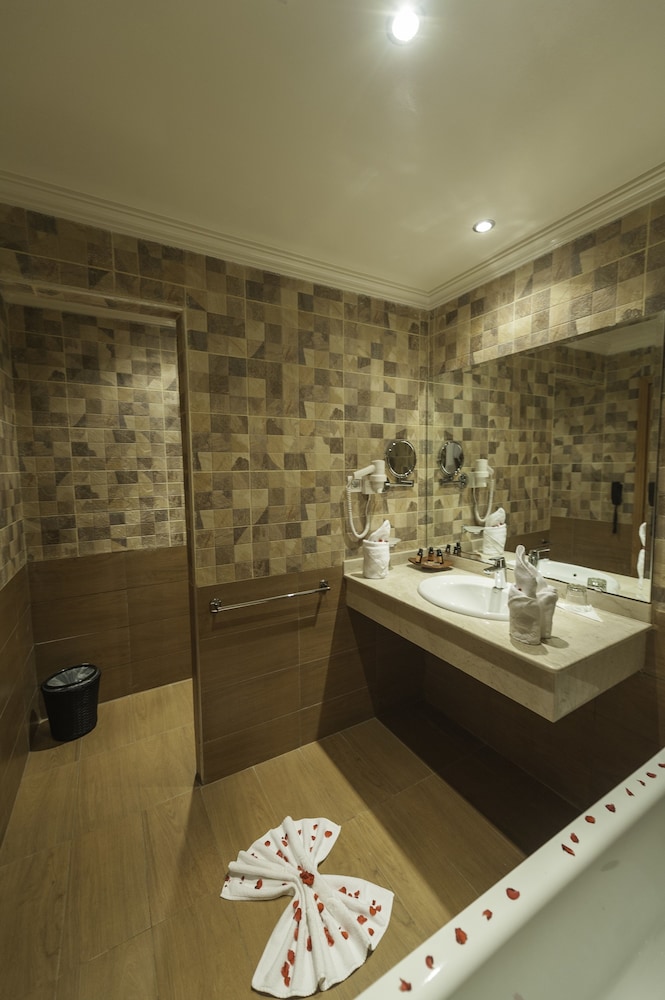 Comfort Room, Accessible photo 3