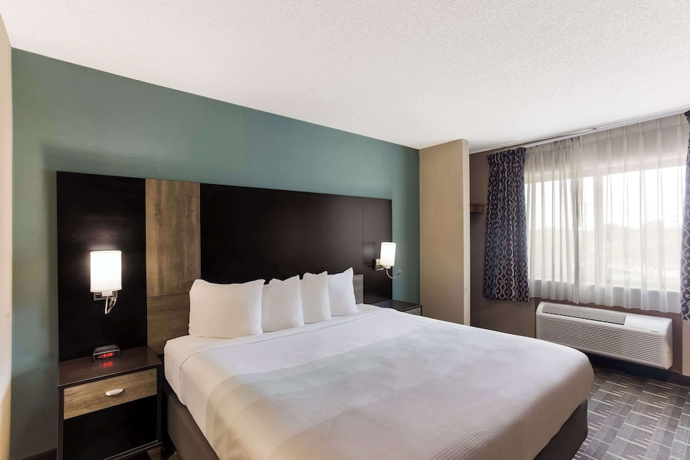Standard Room, 1 King Bed, Non Smoking photo 1