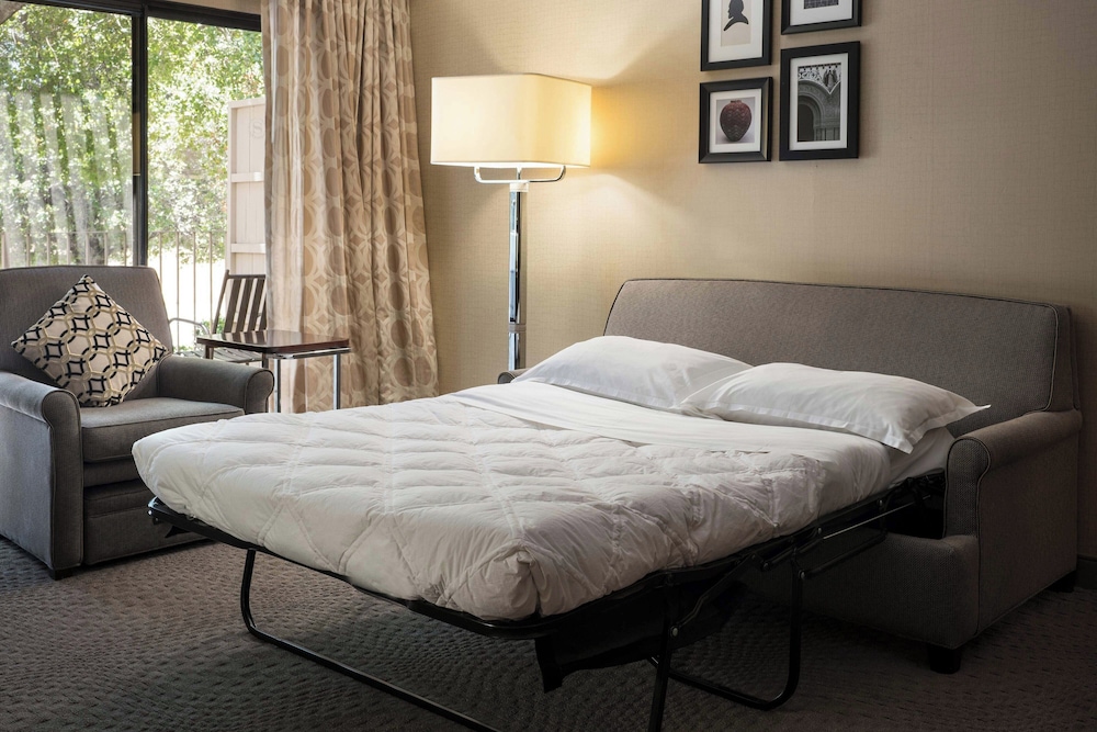 Suite, 1 Bedroom (1 King, Sofa bed, Living/Sitting area) - Photo 1
