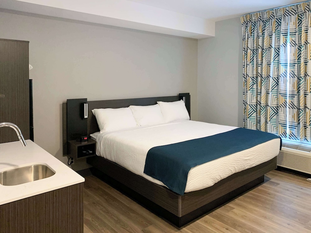 Standard Room, 1 King Bed, Accessible, Non Smoking photo 1