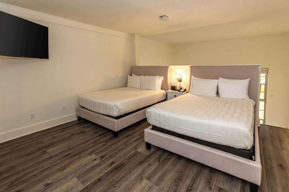 Room, Multiple Beds, Non Smoking (Efficiency) photo 1