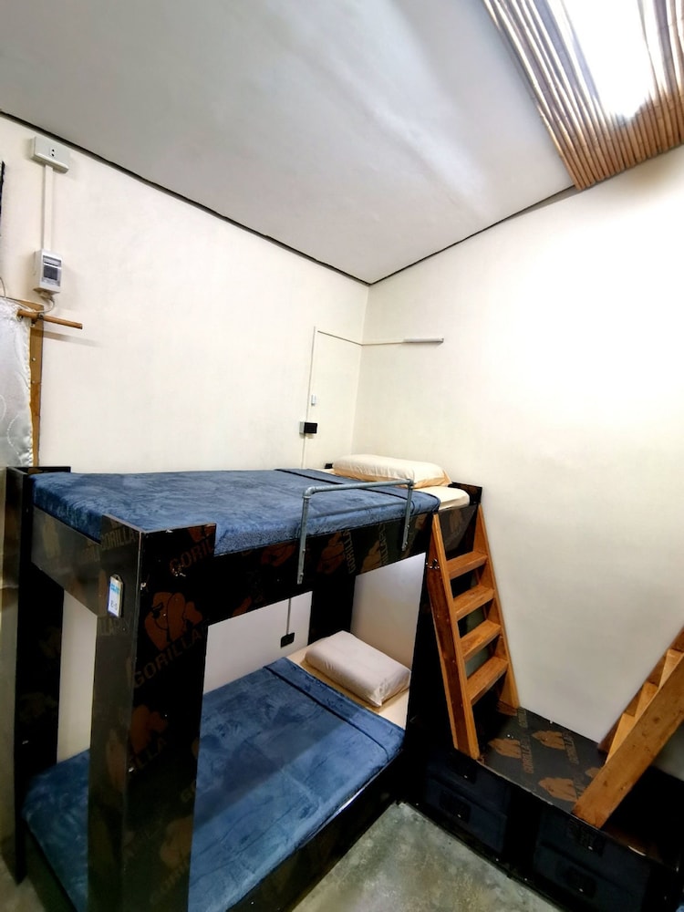 Basic Shared Dormitory, Mixed Dorm photo 3